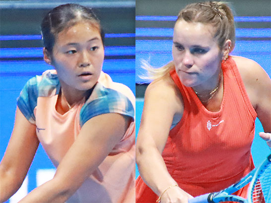 園部八奏、ケニン