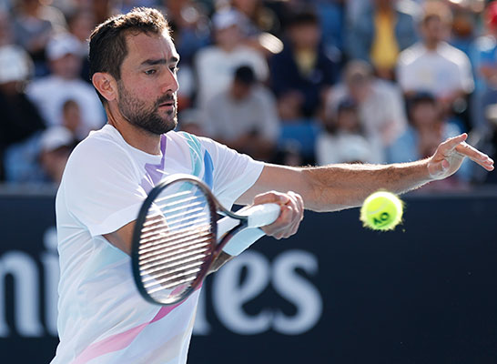 マリン・チリッチ