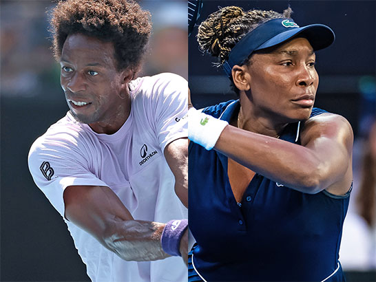 モンフィス、ヴィーナス