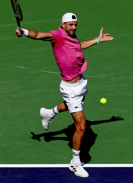 グリゴール・ディミトロフ