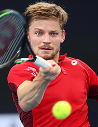 David Goffin