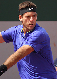 Juan Martin del Potro