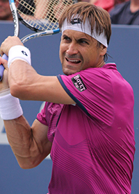 David Ferrer