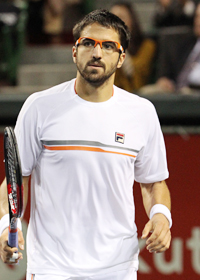 Janko Tipsarevic